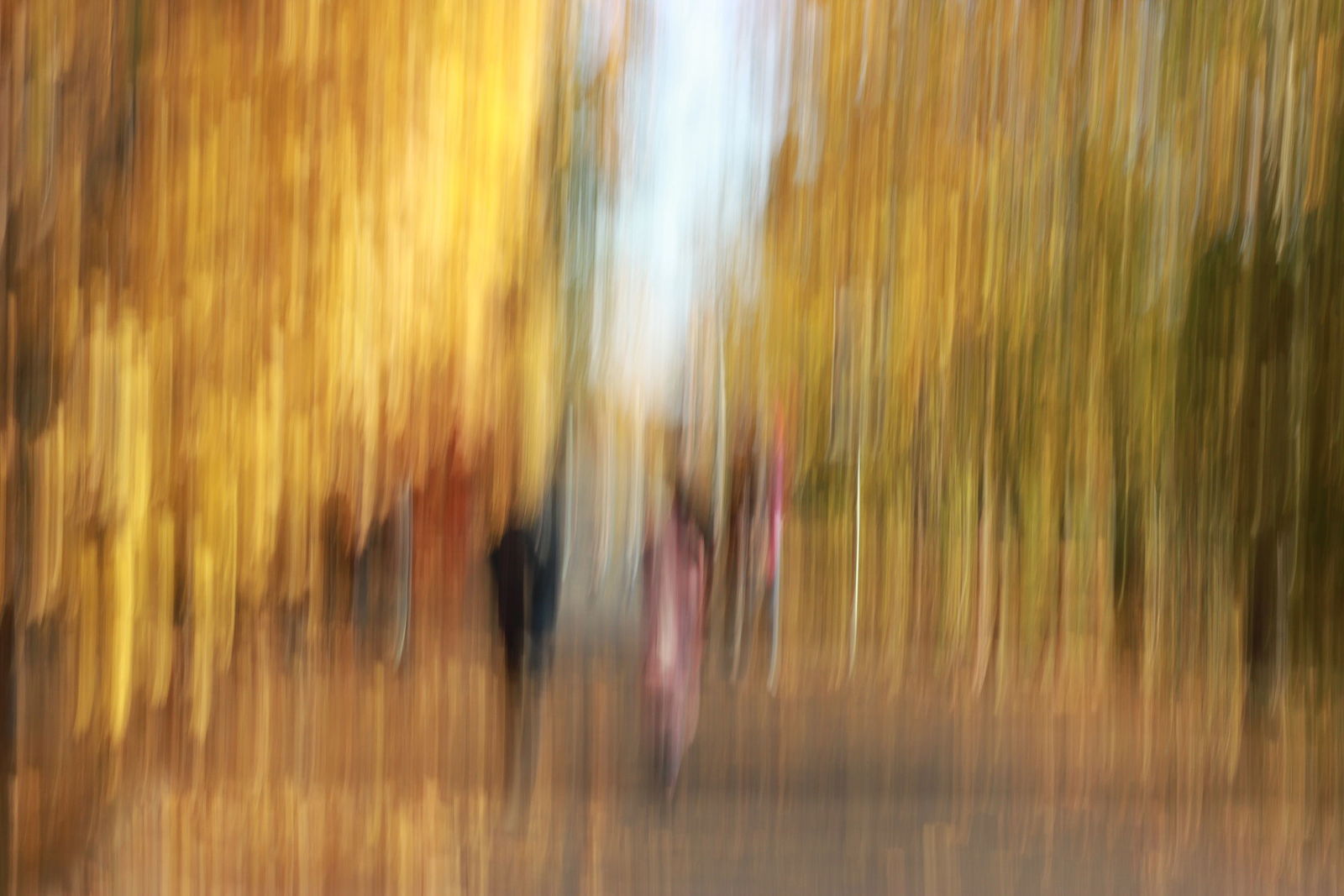 Irina Warm Vision. Intentional camera movement.Art. Rendezvous with the magic world of golden love Photo completely without additional software processing, with natural sunlight. I wanted to capture the poetic, lyrical and sublime atmosphere of golden autumn in its opening magical space for everyone who walks through this park and plunges into the atmosphere of warm tones, tenderness, love, thoughts, inspiration and new dreams. I especially wanted to convey the storyline love on the example of a walking couple and the selected autumn season. For here I tried to embody the idea of mature, caring and wise love, which can be called autumn, as well as golden, in its inner sense of the content.
(Intentional camera movement and natural light).