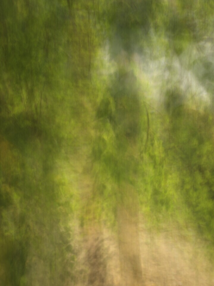 Irina Warm Vision. Intentional camera movement.Art. Без названия