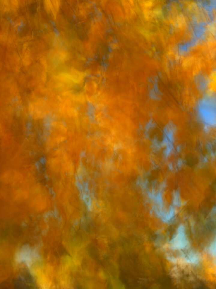 Irina Warm Vision. Intentional camera movement.Art. Без названия