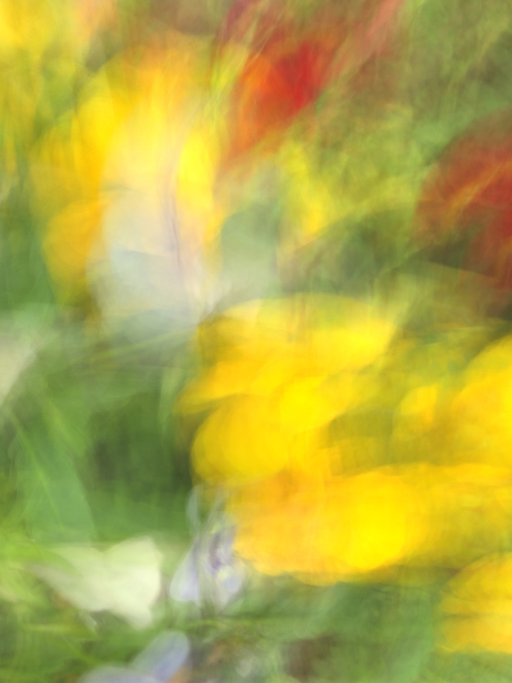 Irina Warm Vision. Intentional camera movement.Art. Без названия
