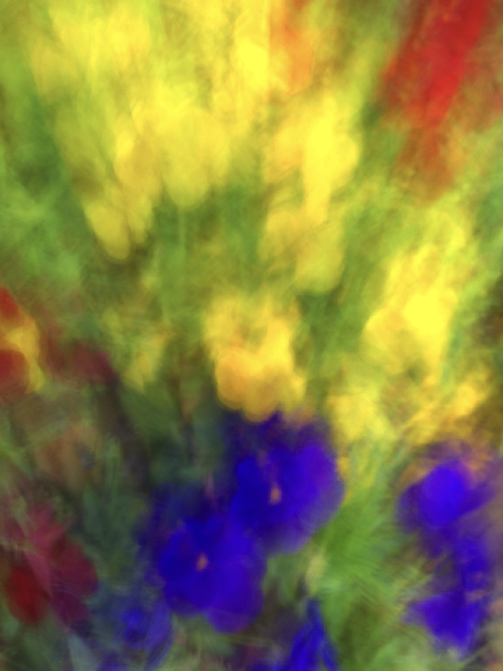 Irina Warm Vision. Intentional camera movement.Art. Без названия