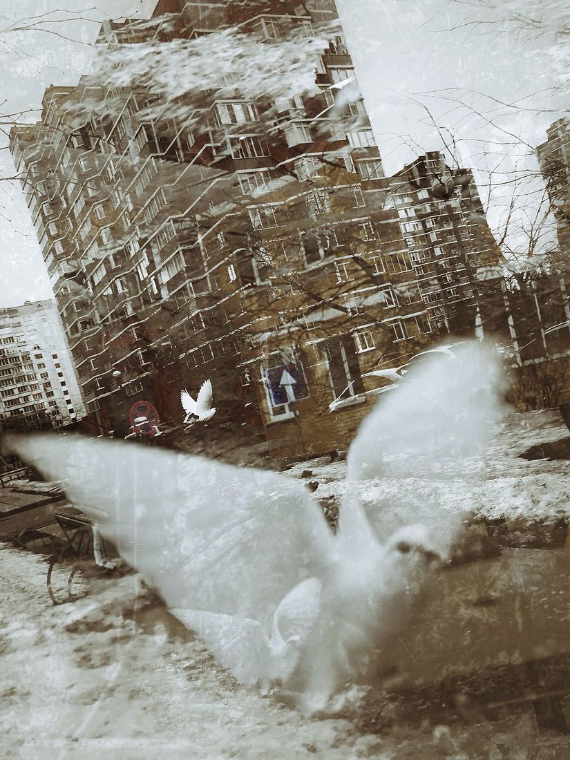 Irina Warm Vision. Warm Vision. Art. Без названия