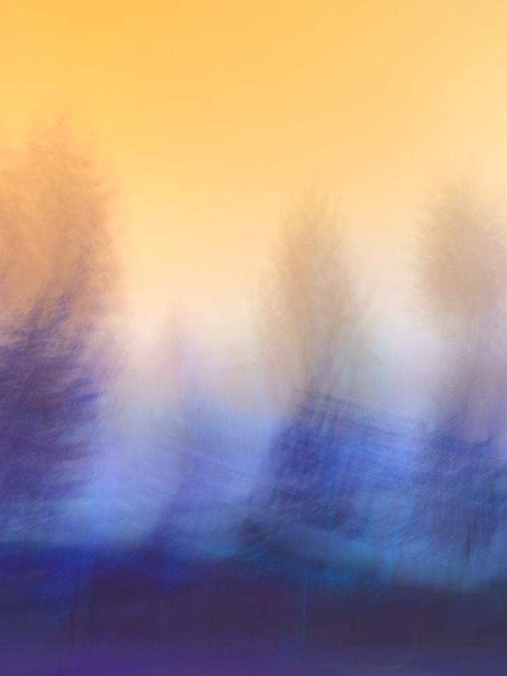 Irina Warm Vision. Intentional camera movement.Art. Без названия