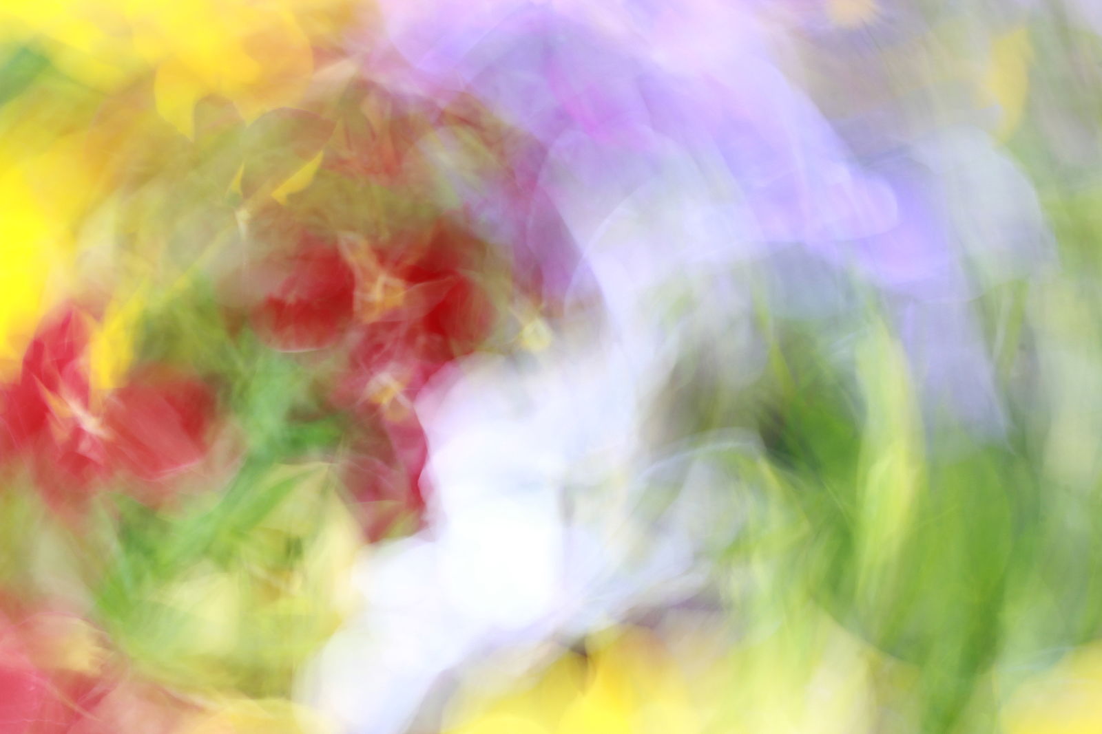 Irina Warm Vision. Intentional camera movement.Art. Без названия