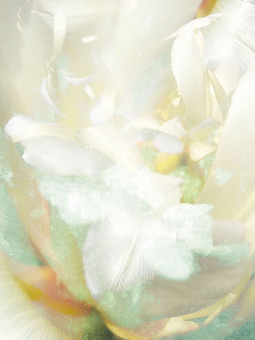 Irina Warm Vision. Warm Vision. Art. Без названия