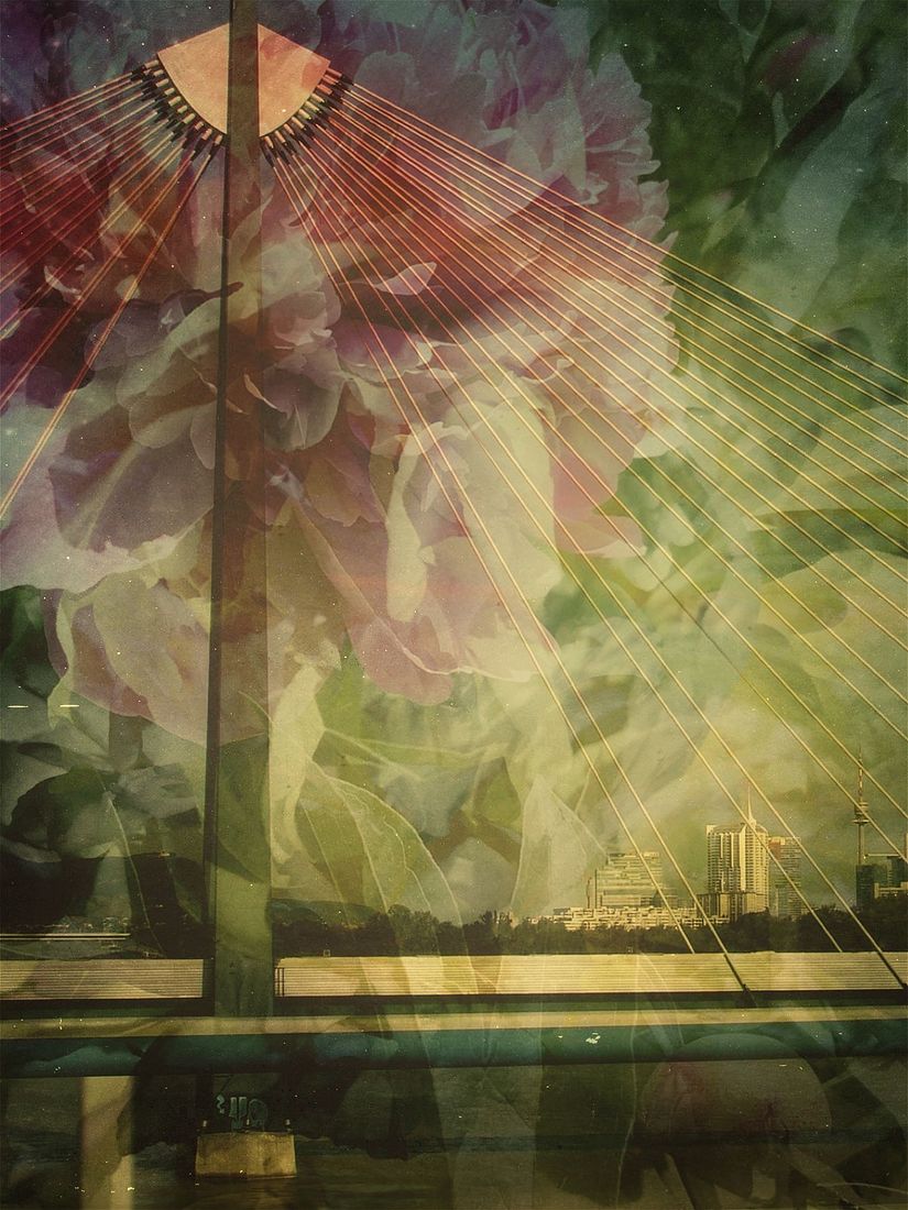Irina Warm Vision. Warm Vision. Art. Без названия
