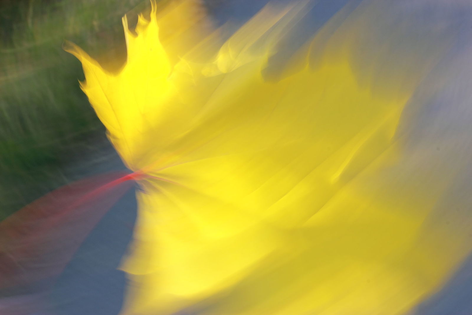 Irina Warm Vision. Intentional camera movement.Art. Без названия