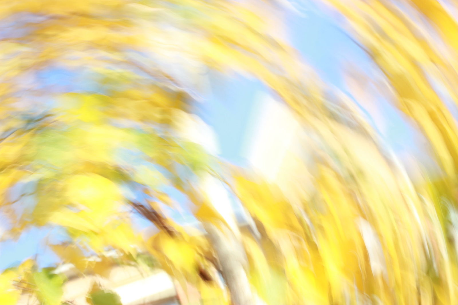Irina Warm Vision. Intentional camera movement.Art. Без названия