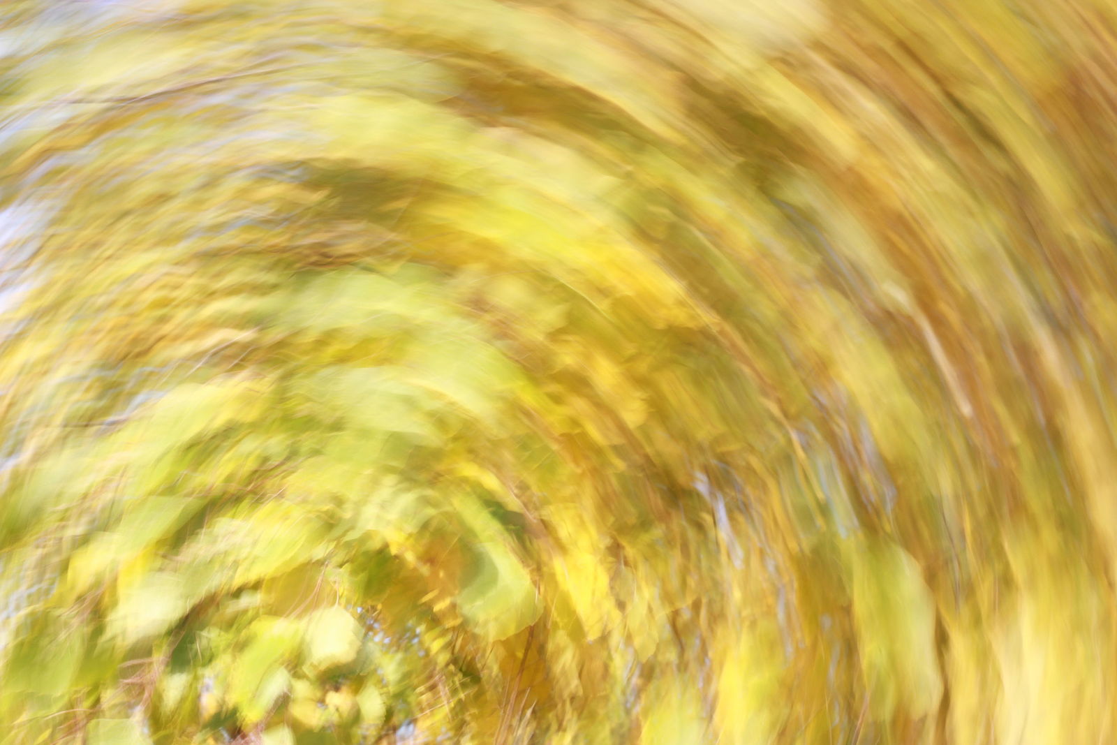 Irina Warm Vision. Intentional camera movement.Art. Без названия