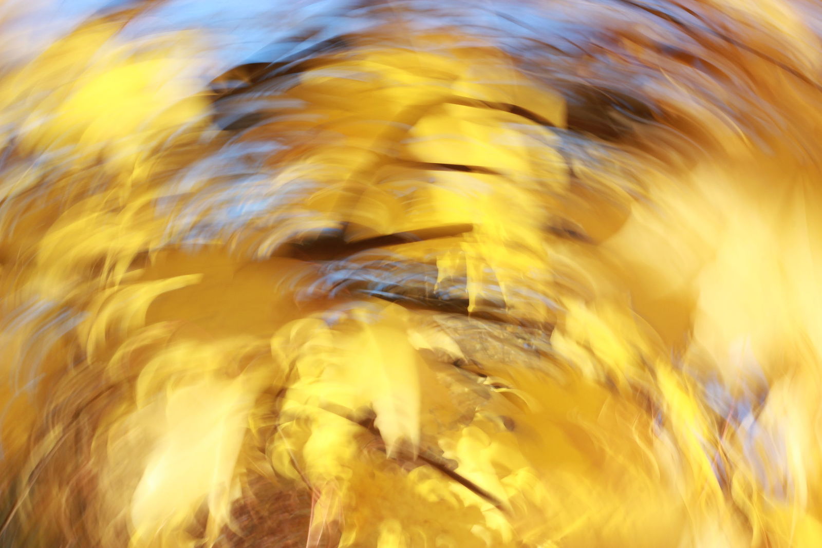 Irina Warm Vision. Intentional camera movement.Art. Без названия