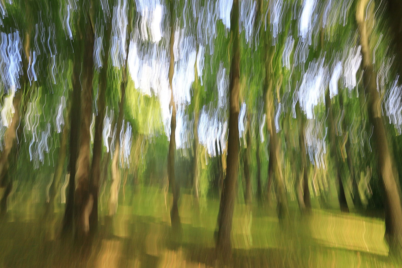 Irina Warm Vision. Intentional camera movement.Art. Без названия