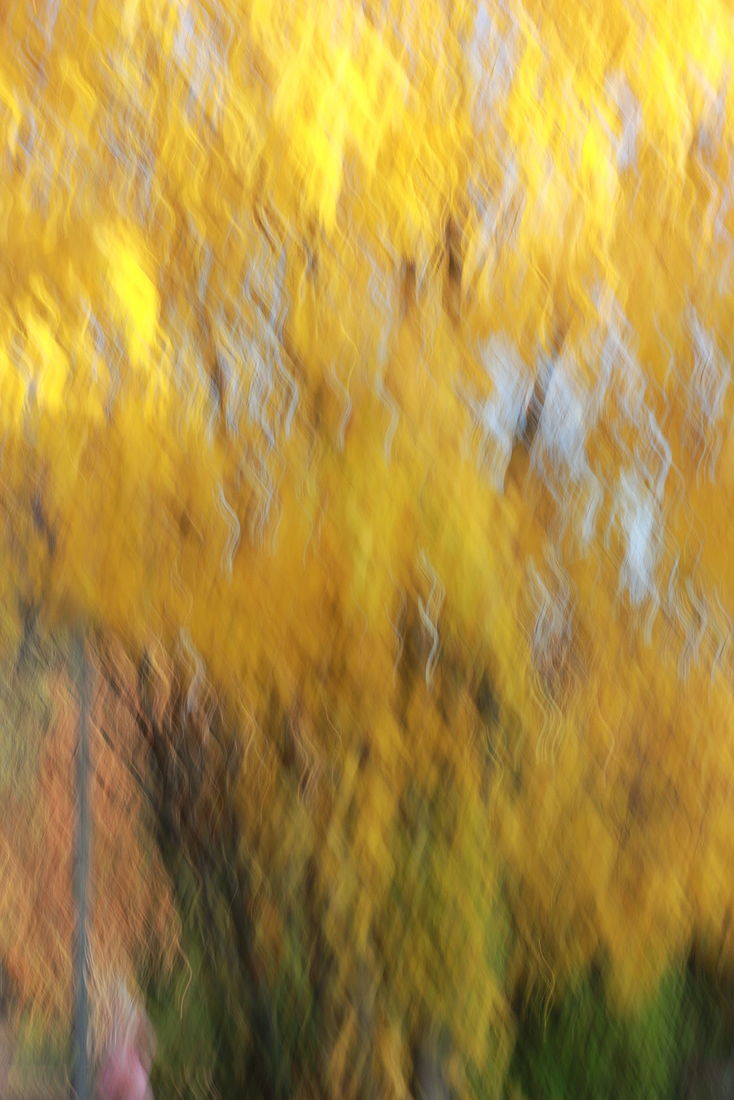 Irina Warm Vision. Intentional camera movement.Art. Без названия