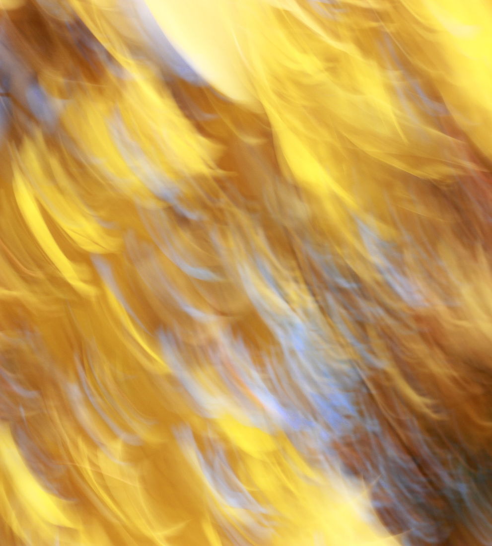 Irina Warm Vision. Intentional camera movement.Art. Без названия
