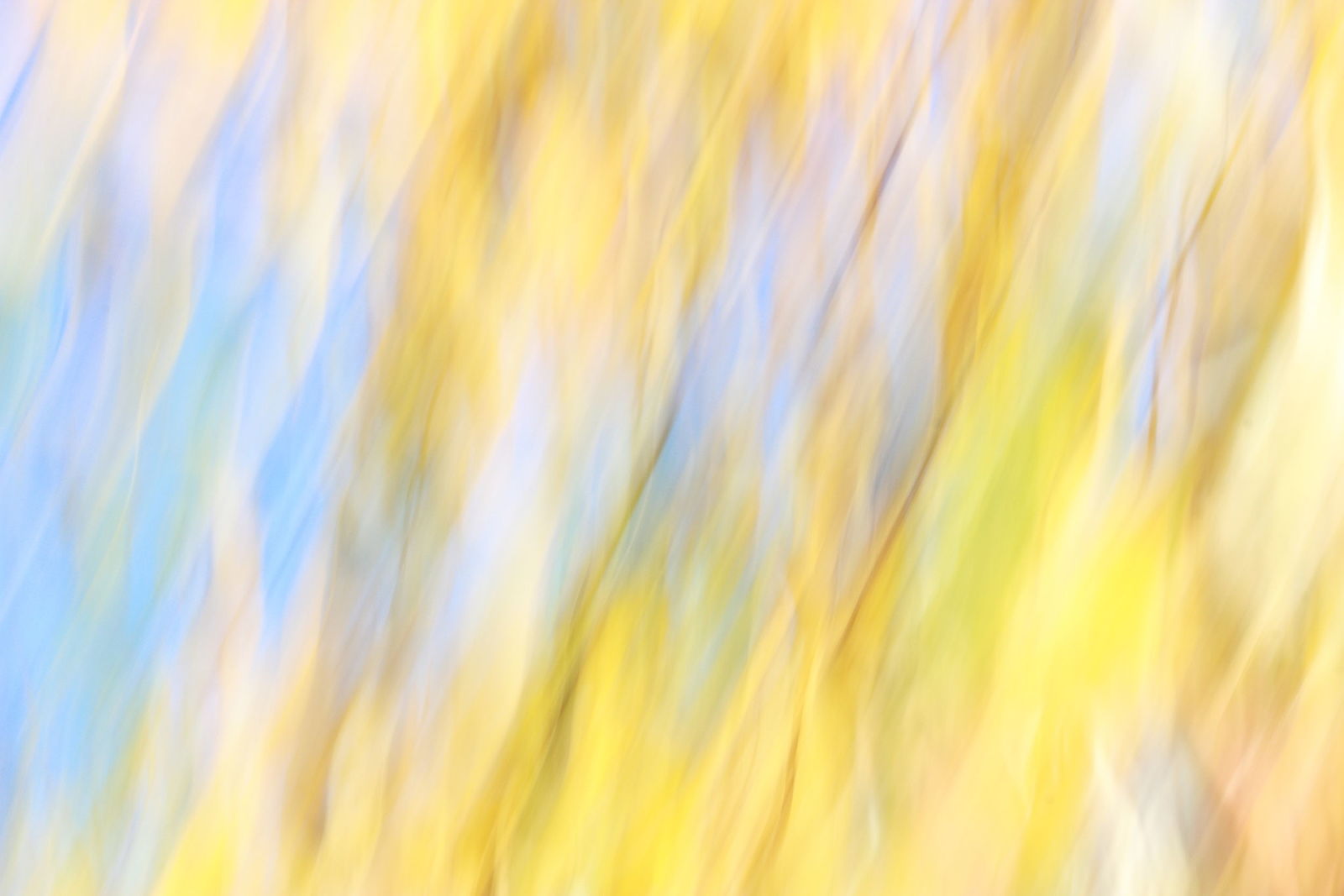 Irina Warm Vision. Intentional camera movement.Art. Без названия