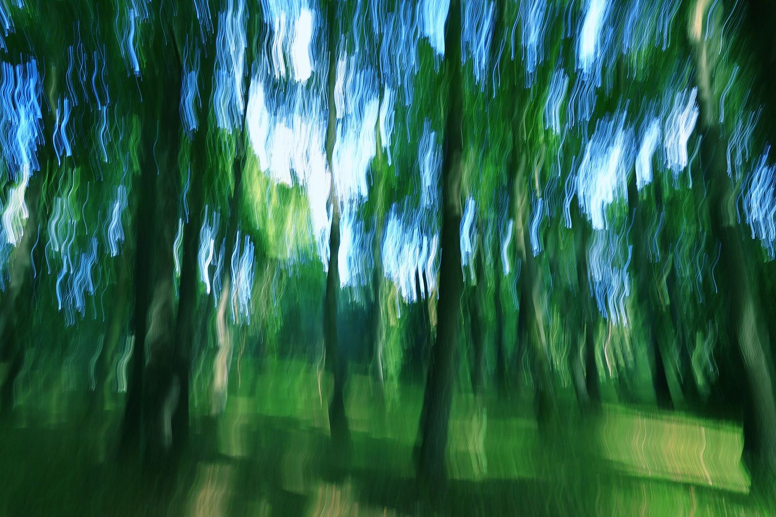 Irina Warm Vision. Intentional camera movement.Art. Без названия