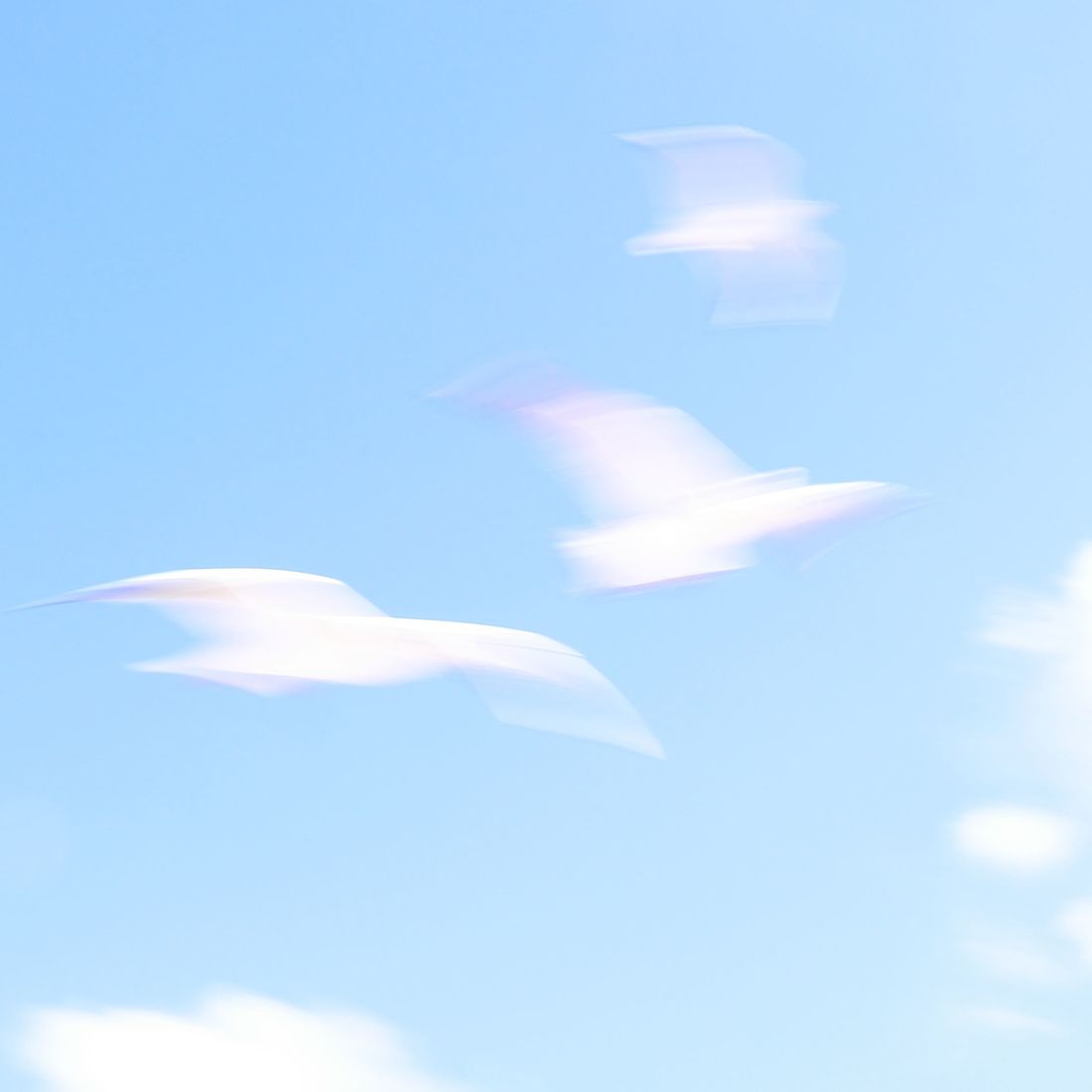 Irina Warm Vision. Intentional camera movement.Art. Без названия
