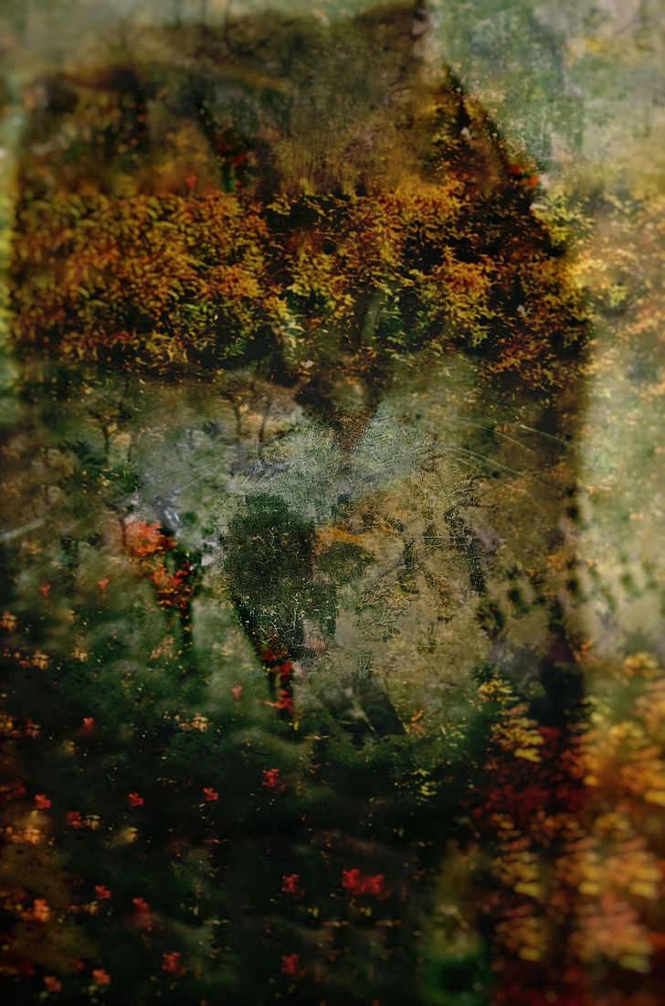 Irina Warm Vision. Warm Vision. Art. Без названия