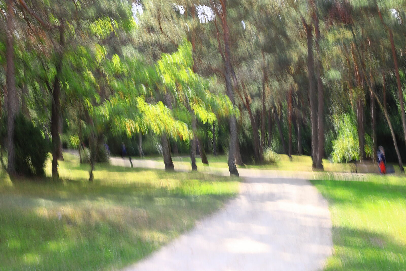 Irina Warm Vision. Intentional camera movement.Art. Без названия