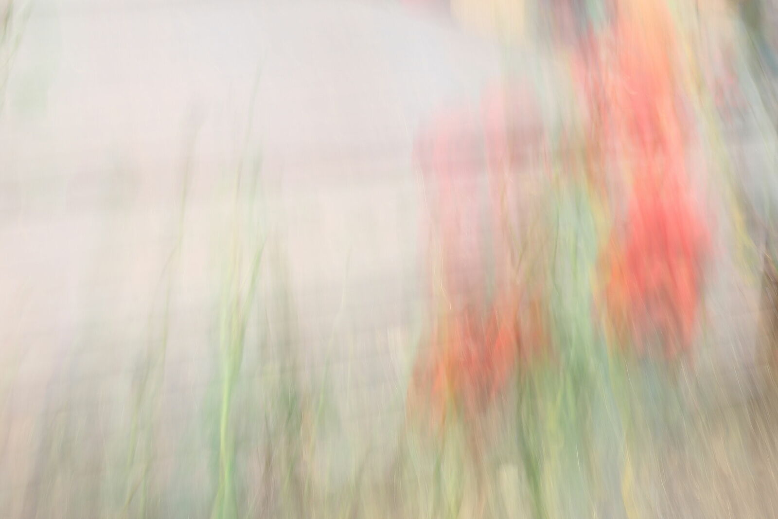 Irina Warm Vision. Intentional camera movement.Art. Без названия