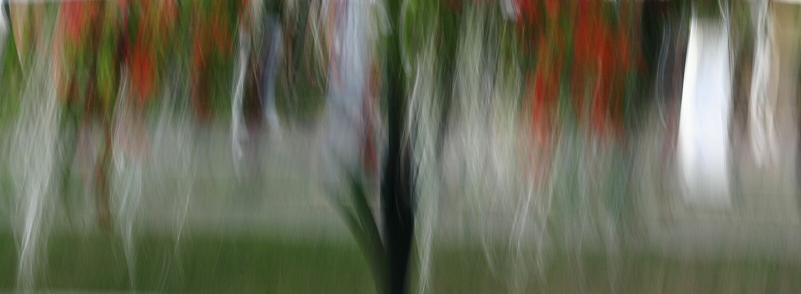 Irina Warm Vision. Intentional camera movement.Art. Без названия